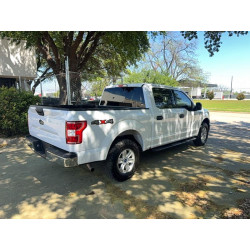 2020 FORD F-150 1FTEW1EB0LKE42984 48323806