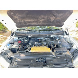 2020 FORD F-150 1FTEW1EB0LKE42984 48323806