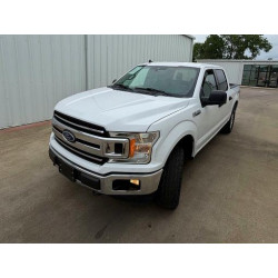2020 FORD F150 1FTEW1E50LKD50834 50684616