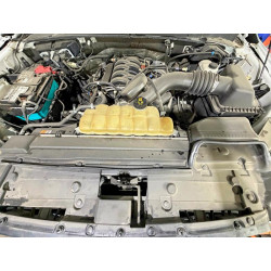 2020 FORD F150 1FTEW1E50LKD50834 50684616