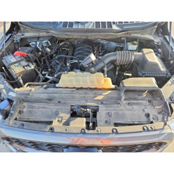 2021 FORD F-150 1FTEW1C54MKE63917 97830645