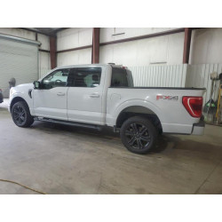 2021 FORD F-150 1FTFW1E85MKE62738 87370185