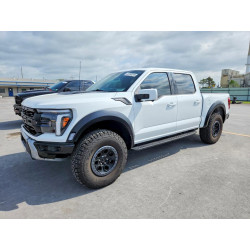 2025 FORD F150 1FTFW1RG0SFB71474 49783016