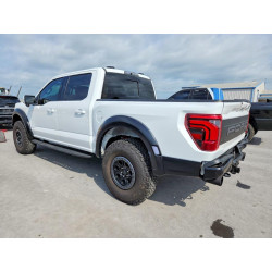 2025 FORD F150 1FTFW1RG0SFB71474 49783016