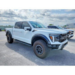 2025 FORD F150 1FTFW1RG0SFB71474 49783016