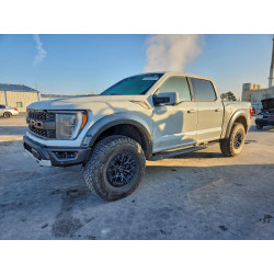 2023 FORD F150 1FTFW1RG9PFA82297 97303755