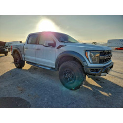 2023 FORD F150 1FTFW1RG9PFA82297 97303755