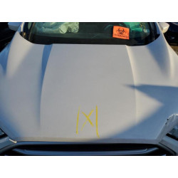 2021 FORD ECOSPORT MAJ3S2GE8MC434651 51838455
