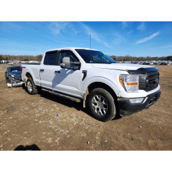 2021 FORD F-150 1FTFW1E52MKE61018 73266765