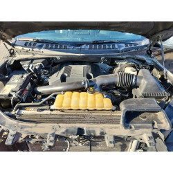2020 FORD F150 1FTEW1E42LFA63172 79437055