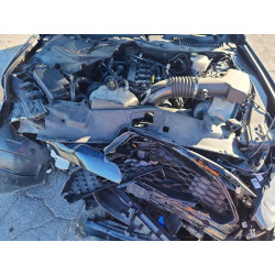 2022 FORD ALL Models 1FA6P8TH5N5110239 46468836