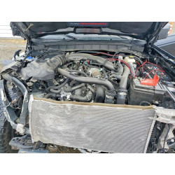 2024 FORD BRONCO 1FMEE0RR8RLA38284 50600696