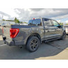 2021 FORD F150 1FTFW1CDXMFB43389 50880176