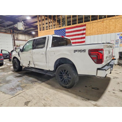 2024 FORD F150 1FTFW5L89RFB54921 79069975