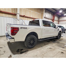 2024 FORD F150 1FTFW5L89RFB54921 79069975