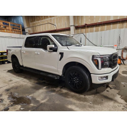 2024 FORD F150 1FTFW5L89RFB54921 79069975