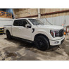 2024 FORD F150 1FTFW5L89RFB54921 79069975