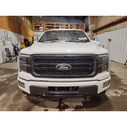 2024 FORD F150 1FTFW5L89RFB54921 79069975