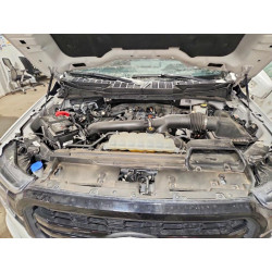2024 FORD F150 1FTFW5L89RFB54921 79069975