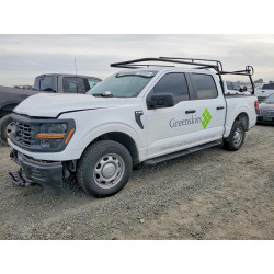 2025 FORD F150 1FTEW1KP0SKD52670 76697025