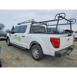 2025 FORD F150 1FTEW1KP0SKD52670 76697025