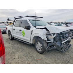 2025 FORD F150 1FTEW1KP0SKD52670 76697025