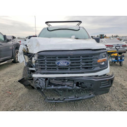 2025 FORD F150 1FTEW1KP0SKD52670 76697025
