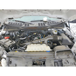 2025 FORD F150 1FTEW1KP0SKD52670 76697025