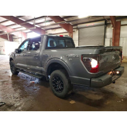 2024 FORD F150 1FTFW3LD9RFA20542 46992156
