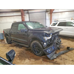 2024 FORD F150 1FTEW3LP6RKE18353 48120606