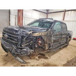 2023 FORD F150 1FTFW1ED5PFC69998 79642835
