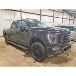 2023 FORD F150 1FTFW1ED5PFC69998 79642835