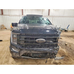 2023 FORD F150 1FTFW1ED5PFC69998 79642835