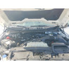 2025 FORD F150 1FTEW3KP7SKD04126 79903915