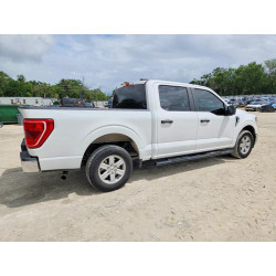 2023 FORD F150 1FTEW1C57PKD24238 49138626