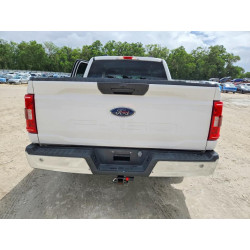 2023 FORD F150 1FTEW1C57PKD24238 49138626