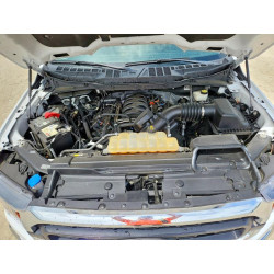 2023 FORD F150 1FTEW1C57PKD24238 49138626