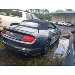 2023 FORD MUSTANG 1FATP8UH6P5109184 49504326