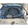 2023 FORD MUSTANG 1FATP8UH2P5108064 51004916