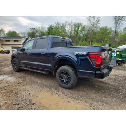 2025 FORD F150 1FTFW3LDXSFA72137 51772846
