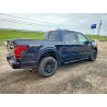 2025 FORD F150 1FTFW3LDXSFA72137 51772846