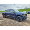 2025 FORD F150 1FTFW3LDXSFA72137 51772846