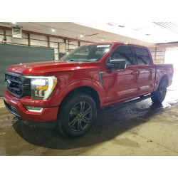 2021 FORD F150 1FTEW1EP7MFD04686 51436096