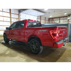 2021 FORD F150 1FTEW1EP7MFD04686 51436096