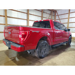 2021 FORD F150 1FTEW1EP7MFD04686 51436096