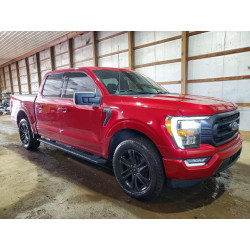 2021 FORD F150 1FTEW1EP7MFD04686 51436096