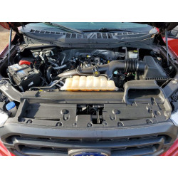 2021 FORD F150 1FTEW1EP7MFD04686 51436096