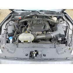 2022 FORD MUSTANG 1FA6P8TD4N5145030 49657546
