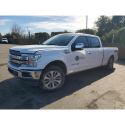 2020 FORD F150 1FTFW1E41LFB67690 79967175