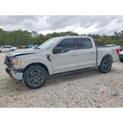 2023 FORD F150 1FTEW1CP2PKE28136 45690516